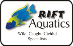 Rift aquatics