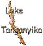 Lake Tanganyika cichlids gallery.