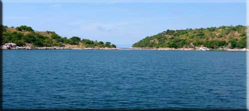 Lake Tanganyika | Fisher of cichlids | exporter of cichlids.